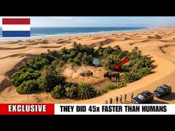 Netherlands Released 3 Bison On Dead Dunes—Scientists Spoke Against It And This Happened