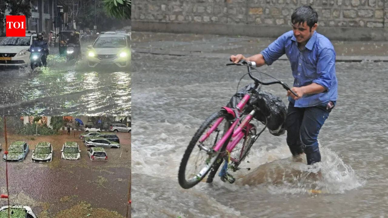 Electrocution, wall collapse, uprooted trees: How 1 hour of rain brought ...