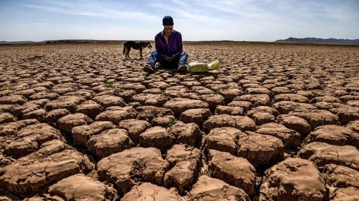 The Scorched Earth Legacy: Donald Trump’s Climate Reckoning