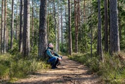 The silence of nature as an experience of inner healing - Pilgrimaps