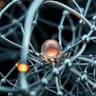 AI Insight Hub