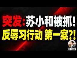 反共反习博主, 苏小和被抓! 反辱习行动第一案?! 《晓说家》直播!