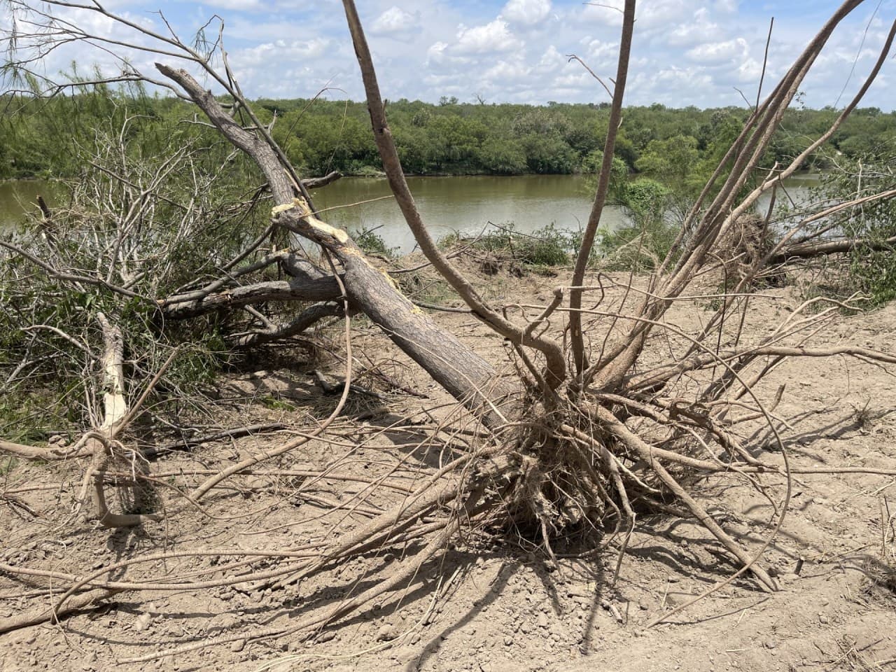 Residents ‘not happy’ with bulldozing of land for border wall