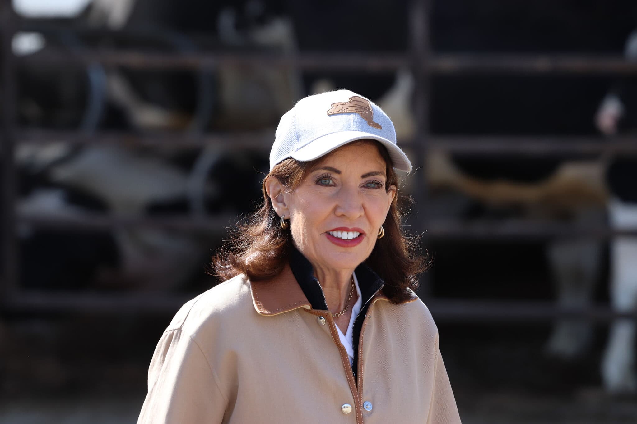 Parts of Hochul's auto insurance proposals passed, others yet to come