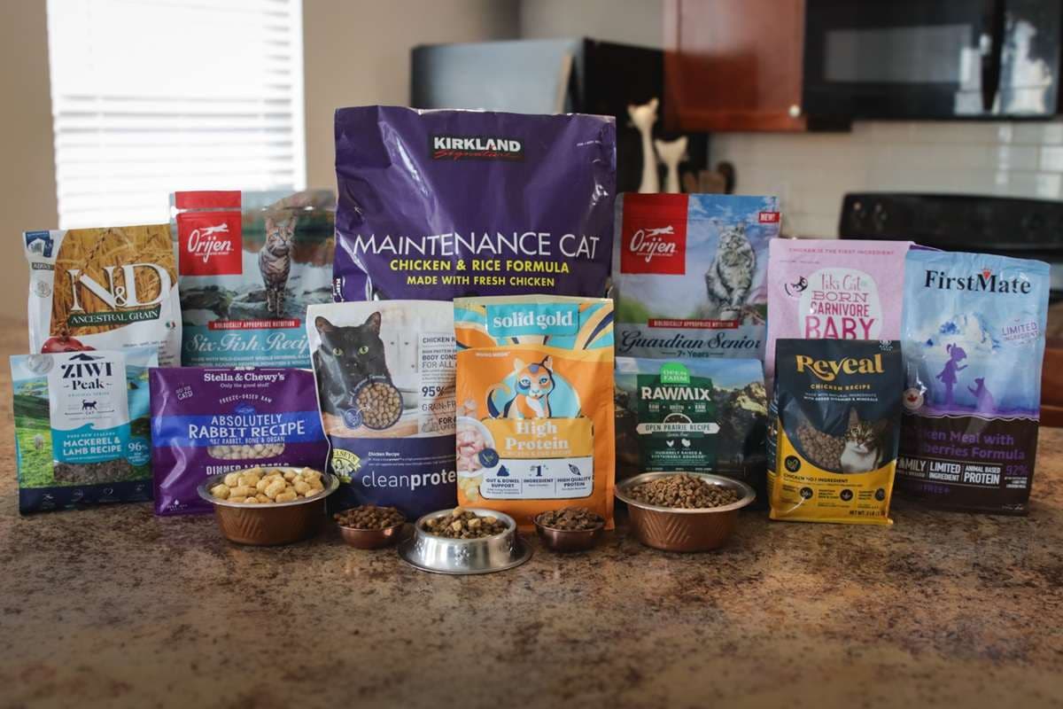 The 13 Healthy Best Dry Cat Foods of 2026