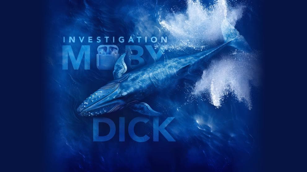 First convictions in investigation Moby Dick: 20 defendants sentenced to over 70 years in prison and assets worth approximately €40 million confiscated | European Public Prosecutor’s Office