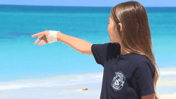 Florida girl returns to beach 10 months after shark bite nearly took her hand