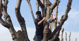 Iran's top university expels student over toy rat that mocked ...