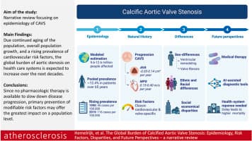 The global burden of calcified aortic valve stenosis: epidemiology, risk ...