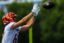 Tanner Hudson Reminds Bengals Why Their Tight End Room Is So ...