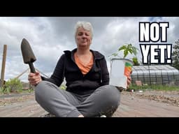 The Hardest Part of Spring Gardening?  Patience.