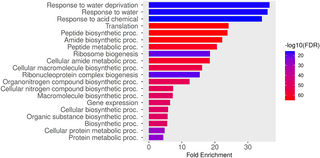 Benchmarking ensemble and deep learning models for ...