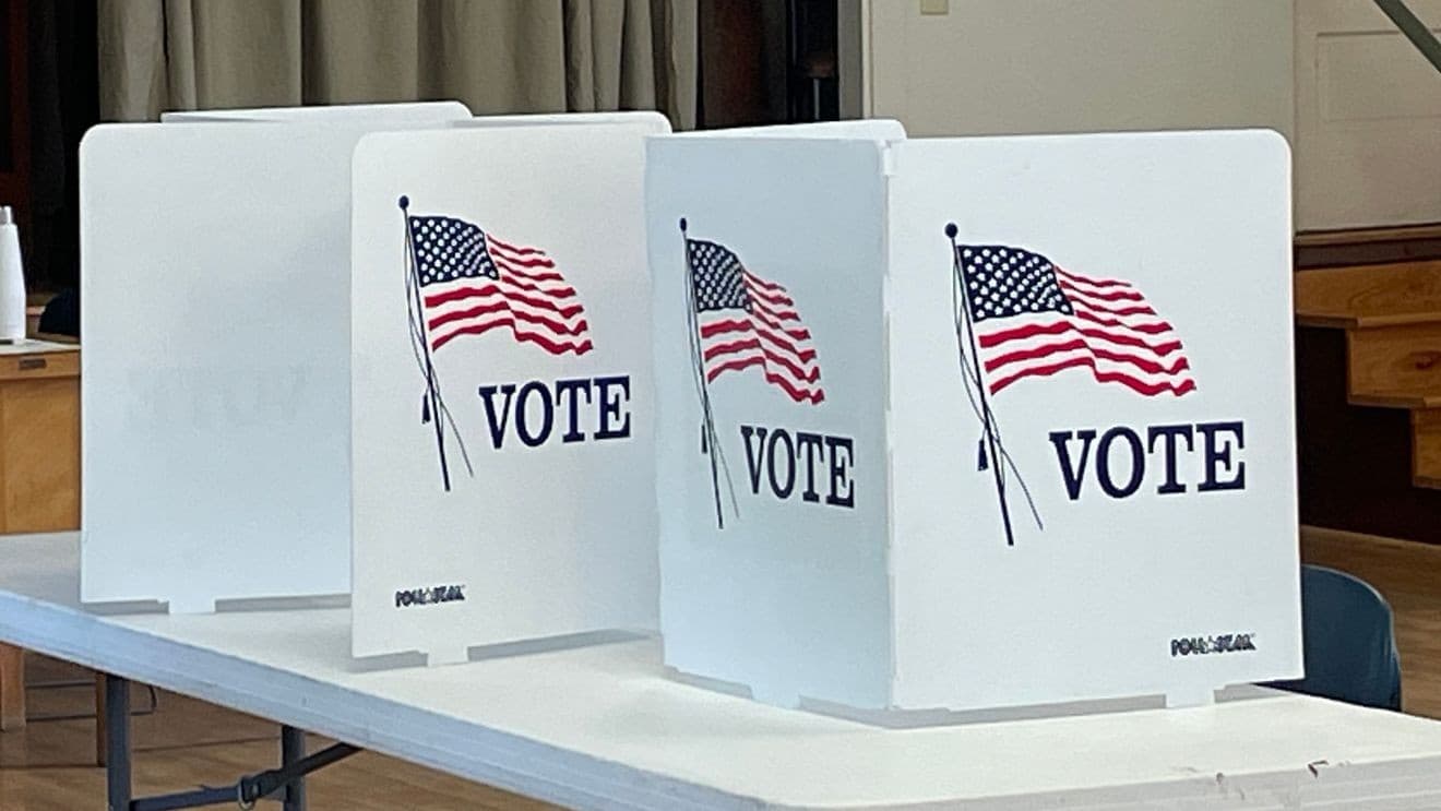 West Michigan votes Aug. 4: A breakdown of state, federal ...