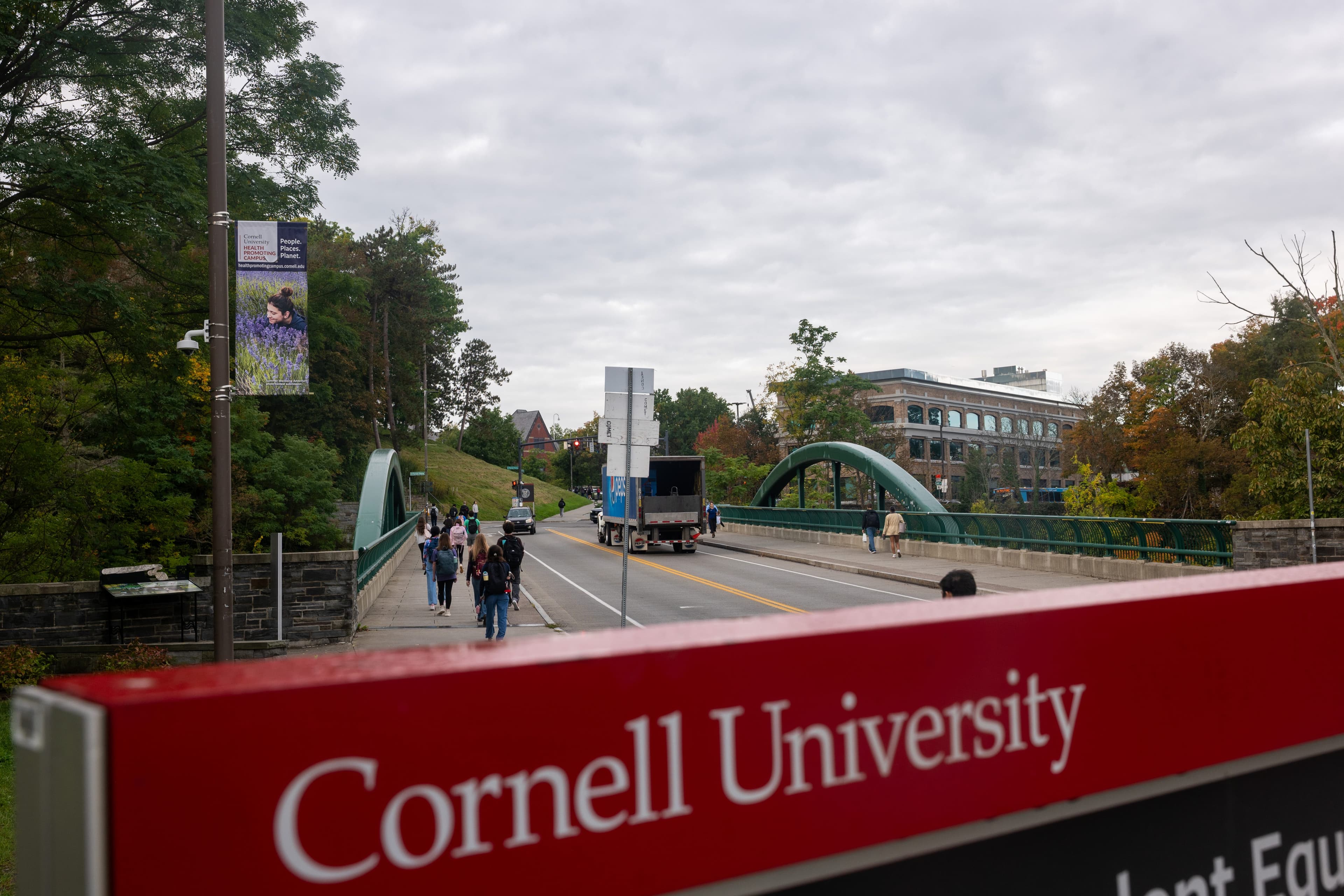 What Cornell case reveals about institutional oversight