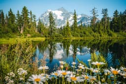 The Essential Guide to North Cascades National Park