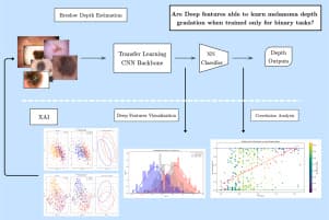 Are deep features able to learn melanoma depth gradation ...