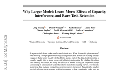 Why Larger Models Learn More: Effects of Capacity, Interference, and Rare-Task Retention