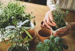 20+ Wonderful Winter Garden Activities (Projects) To Do ...