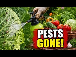 The Twenty Year Gardening Secret: How to Get Rid of Pests Once and for All! 🐛