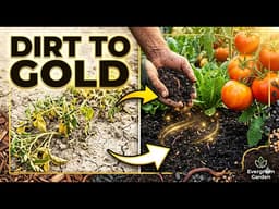 Stop Ruining Your Soil (The Amendment Guide Every Gardener Needs) Before You Plant Anything