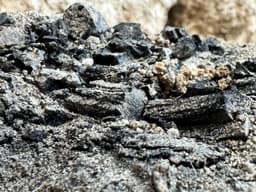 Burnt Wooden Beams from Jerusalem's First Temple ...