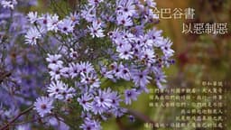 每日靈修20260705:哈巴谷書-以惡制惡 - Peter Koo's Blog