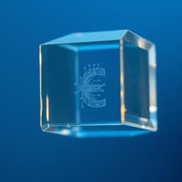 Digital Euro Insights