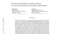 Training Numerical Intelligence via Auto-Diagnosis and Skill Discovery