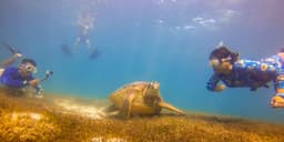 Why Asia and the Pacific Can’t Afford to Ignore Ocean Health | Development Asia