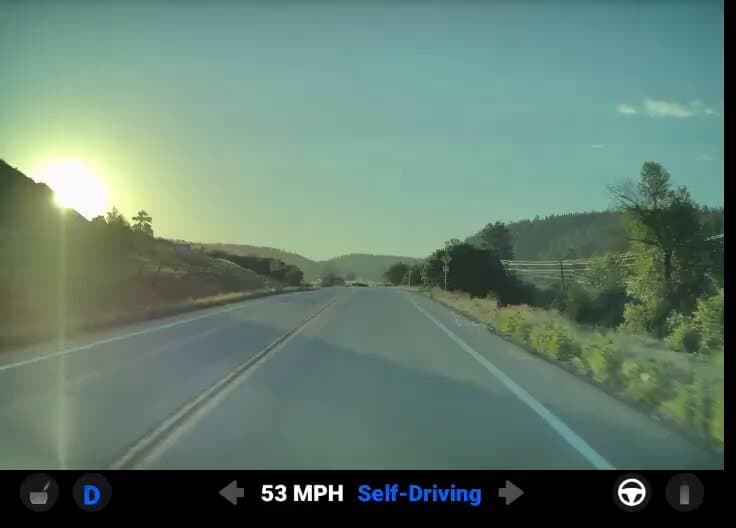 FSD Supervised Avoids Deer in Direct Sunlight