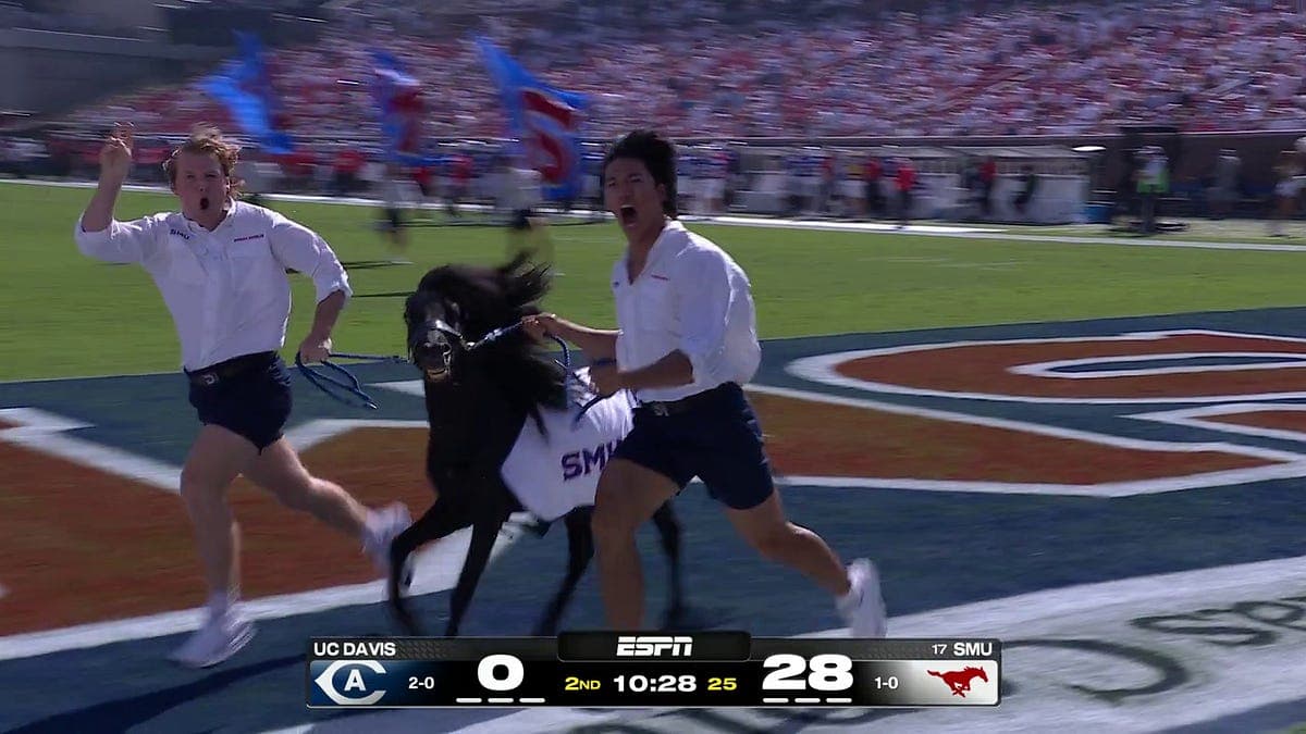 SMU Football 2026: Offensive Preview