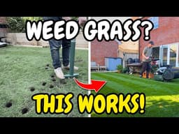 Weed Grass Was Taking Over My Lawn… THIS Worked