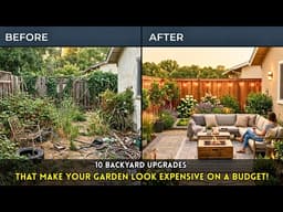 10 Backyard Upgrades That Make Your Garden Look EXPENSIVE On A Budget!