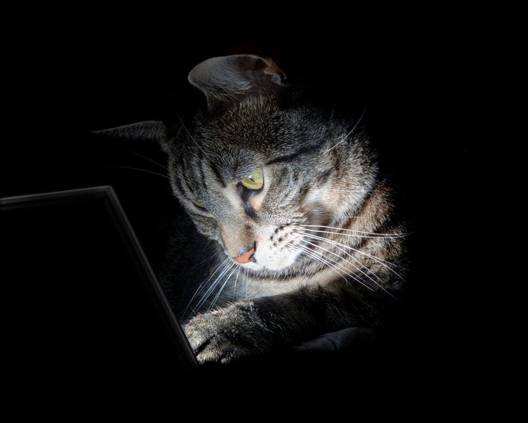 We let OpenClaw loose on an internal network. Here’s what it found | SOPHOS