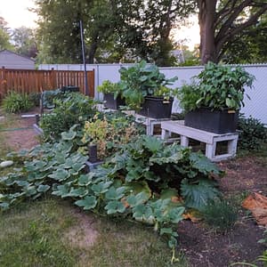 outdoor sips | 420 Magazine