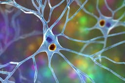 Lewy Body Dementia Diagnosis And Treatment Options