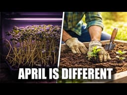 Seed Starting in April Is Different — Do This Instead