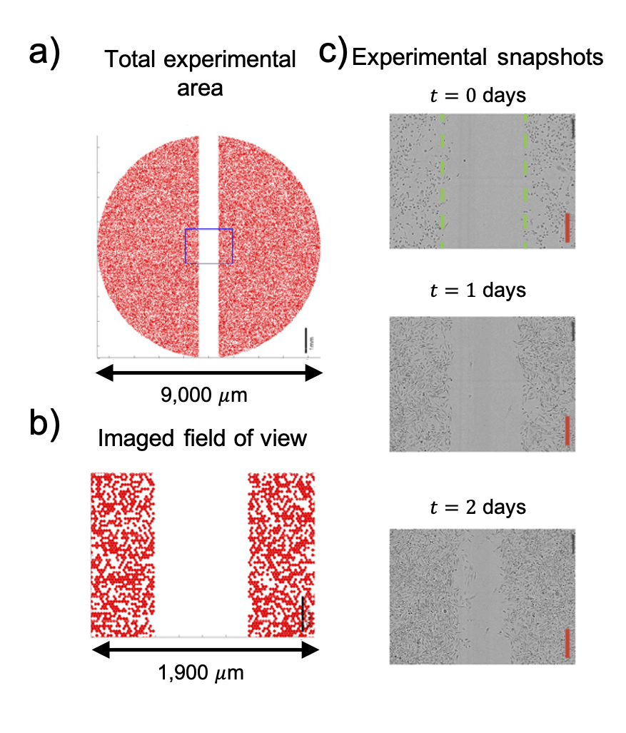 Spatial Model Selection and Uncertainty Quantification
