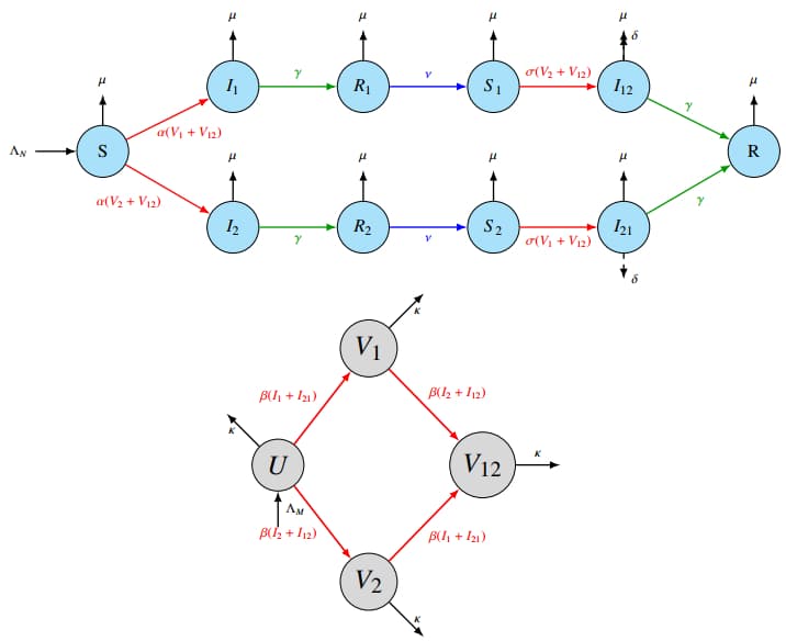 Modeling and analysis of a novel two-strain dengue ...