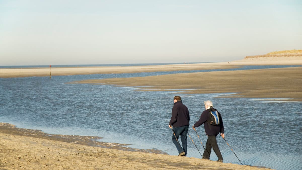 Age-friendly development requires a whole-of-society ...