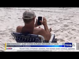 Alabama beach warning system now notifies the public of confirmed shark attacks