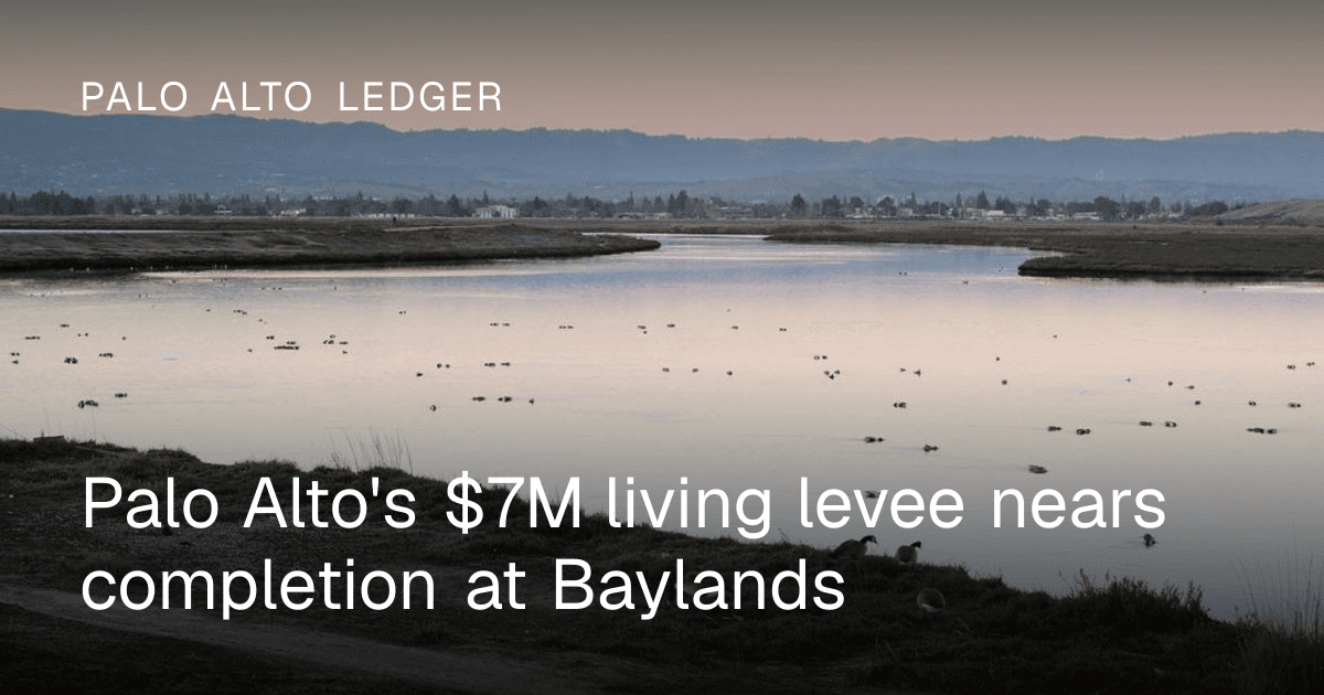 Palo Alto's $7M living levee nears completion at Baylands