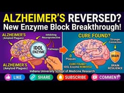Scientists Found a Hidden Alzheimer’s Trigger — And Successfully Switched It Of