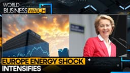 German Drivers Cross Border For Fuel | WION World Business Watch