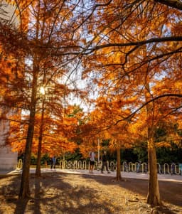 Immigration News October 2026