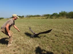 Vulture GPS Tracking: 19 Units Deployed in Hluhluwe- ...
