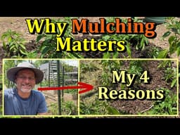 How to Mulch Vegetable Gardens Correctly for 4 Key Benefits (All the Steps & Details)