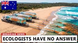 Australia Released 1,500 Seahorses Into Sydney — Here’s What Happened to the Ecosystem