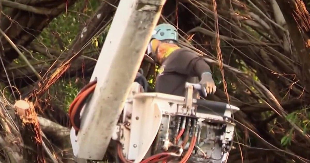 FPL expands grid hardening across Florida for hurricane season