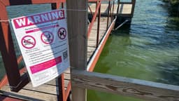 Algae alert continues for King Lake, announced for Eureka Lake after KDHE update Friday